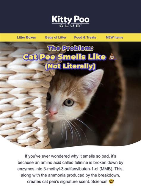 Kitty Poo Club: The solution for stinky litter | Milled