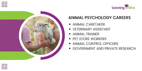 What careers study animal behaviour – My Learning Online