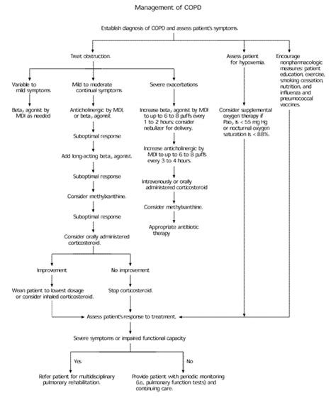 COPD: Management of Acute Exacerbations and Chronic Stable Disease | AAFP