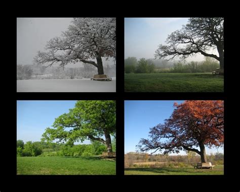 Photograph the Seasons | Boost Your Photography