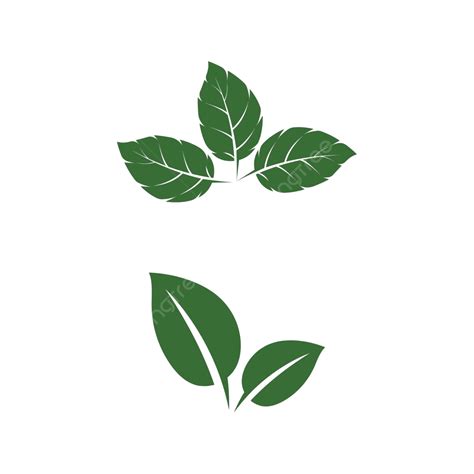 Leaf Mint Logo Template Vector Symbol Mint Green Flat Vector, Mint, Green, Flat PNG and Vector ...