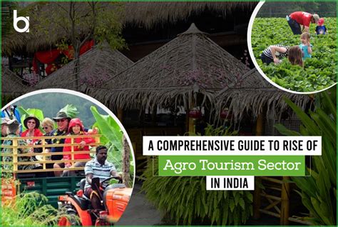 Agro Tourism: The Rising Sustainable Industry of India