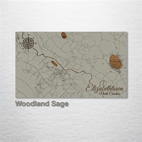 Elizabethtown, North Carolina Street Map – Fire & Pine