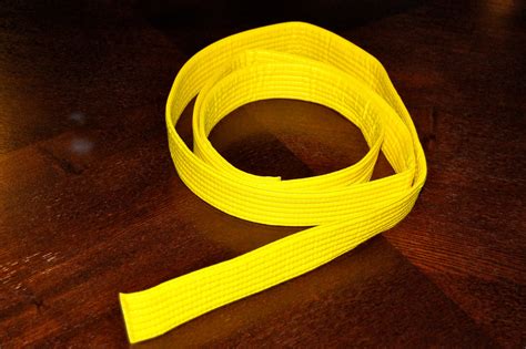 Martin Mommy: The Yellow Belt