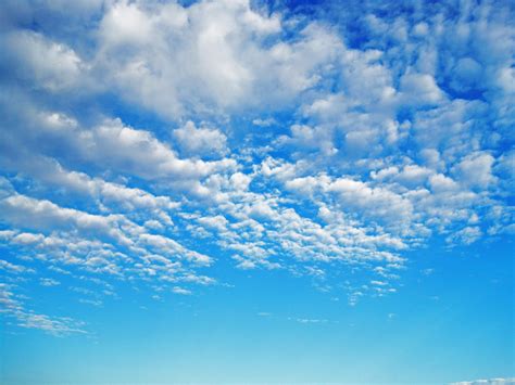 Bright Blue Sky With White Clouds Free Stock Photo - Public Domain Pictures