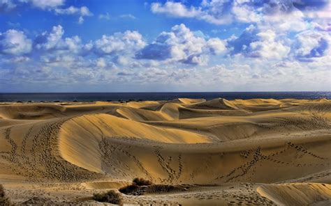 Sahara Desert landscape photo HD wallpaper | Wallpaper Flare