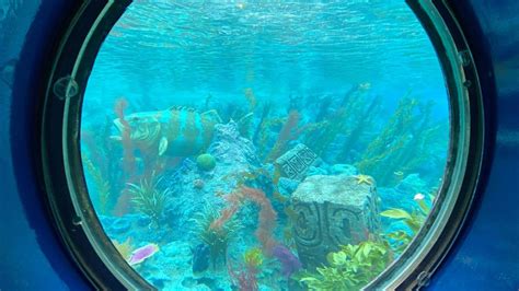 PHOTOS, VIDEO: Finding Nemo Submarine Voyage Finally Resurfaces at Disneyland - Disneyland News ...