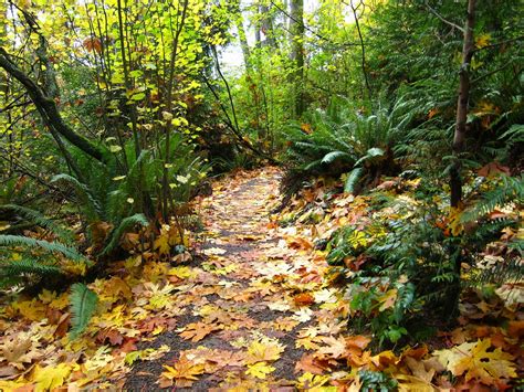 Pacific Northwest Seasons: Fall Colors in the Pacific Northwest