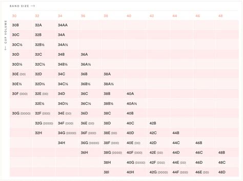 ThirdLove Bra Size Chart - Find The Perfect Bra For Your Cup Size