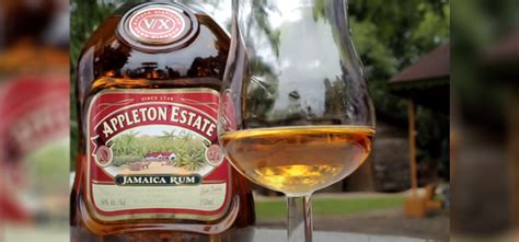 12 Best Jamaican Rums Brands To Drink (2023 Updated)