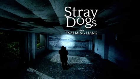 STRAY DOGS - Tsai Ming-liang (trailer) - YouTube