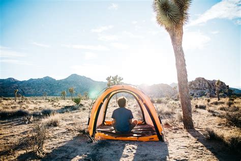 How to Camp in Joshua Tree National Park for Free