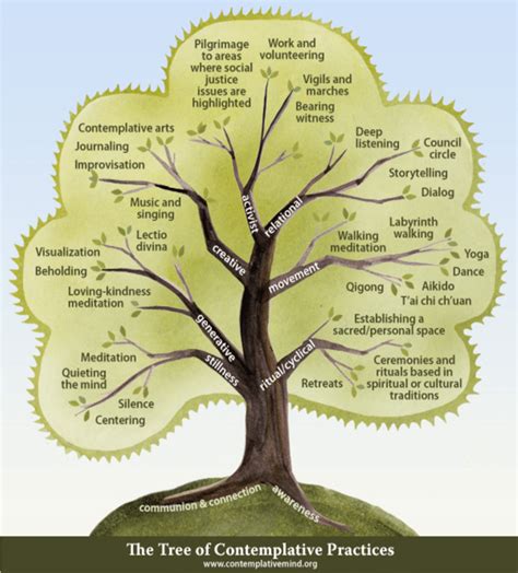 The Tree of Contemplative Practices (Contemplative Mind, 2013) | Download Scientific Diagram