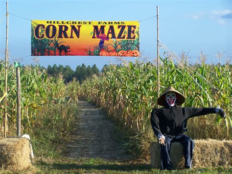 New Corn Maze at Hillcrest Farm | Outdoor Gulf Coast of Northwest Florida