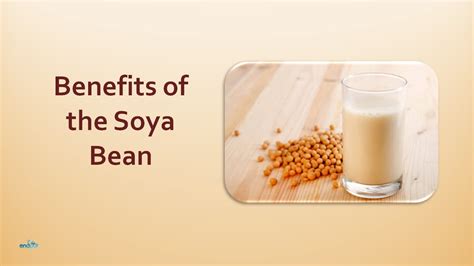 Benefits of the Soya Bean | Soya Beans the Most Nutritious Foods in the World - YouTube