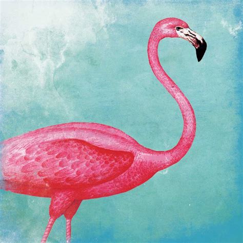 Tropical Flamingo 2 - Art and Frame - Adelaide