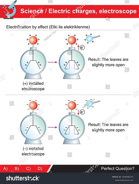 Electroscope Examples Electric Charges Electric Energy Stock Vector ...