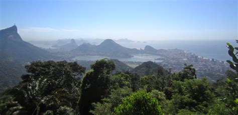 Tijuca Rain Forest Jeep Tour from Rio de Janeiro | Rio de Janeiro Blog