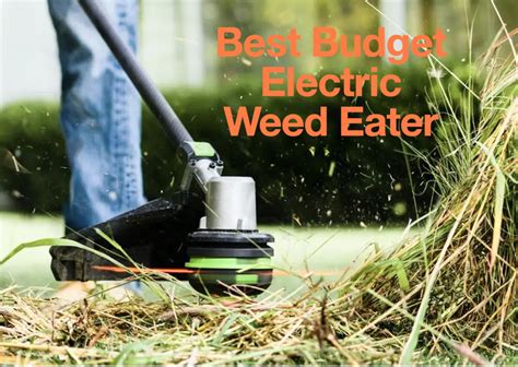 The Three Best Budget Electric Weed Eaters for Your Yard - Dengarden