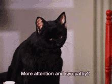 Salem Saberhagen GIFs | Tenor