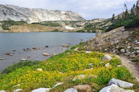 Best Hikes in the Beautiful Medicine Bow-Routt National Forest - Pine ...