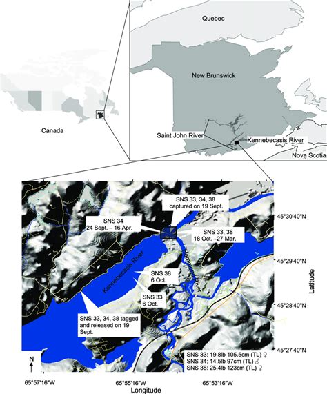 Study area of habitat use of shortnose sturgeon (Acipenser ...