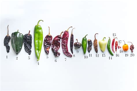 Guide to chili peppers at Mexican markets in Tucson