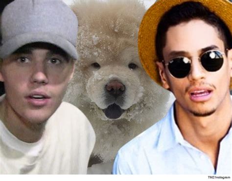 Justin Bieber Gives Away Another Dog, New Owner Paying Hefty Price | TMZ.com