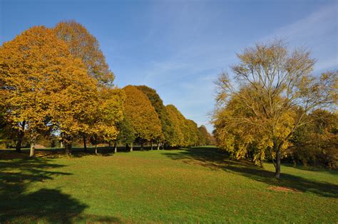 Farnham Park - Thames Basin Heaths