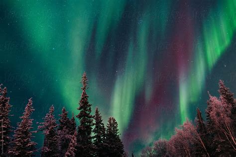 aurora borealis on december 21, 2014 at chena hot springs, fairbanks ...