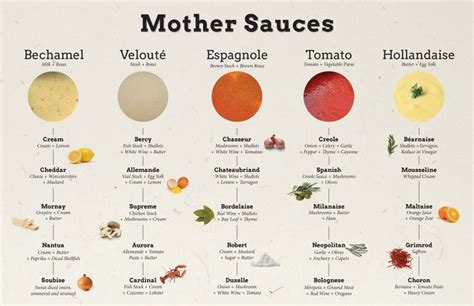 Mother Sauces | Culinary basics, Culinary techniques, Culinary lessons