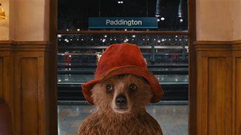 Paddington Bear - The Movie - Wales Online