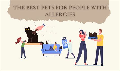 The Best Pets for People with Allergies– Pet Goodies