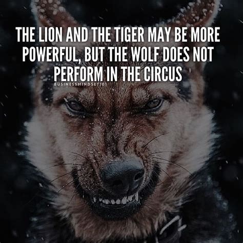 Handbook for Success on Instagram: “Are you the wolf or the lion? Tag your friends. 👇” | My life ...