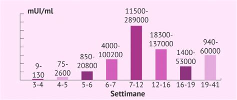 L'ormone della gravidanza: la gonadotropina corionica umana (beta hCG)