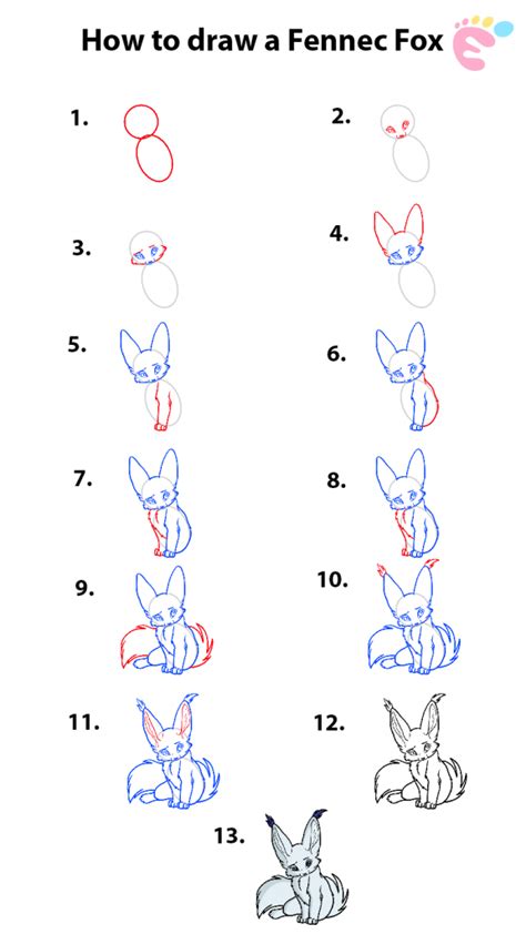 Learn how to draw a Nice Fennec Fox - EASY TO DRAW EVERYTHING