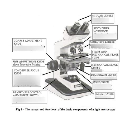 What Does The Fine Adjustment Knob Do On A Microscope