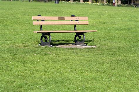 Bench In The Park Free Stock Photo - Public Domain Pictures