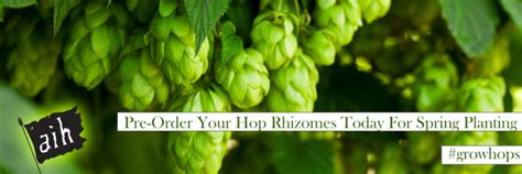 Grow Your Own Hops! Rhizomes from AIH + Free Hop Growing Guide | Homebrew Finds