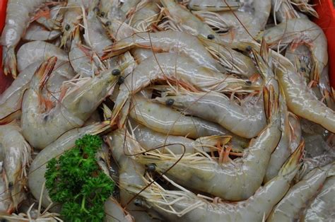 Banana Prawns - Casula Fish Market