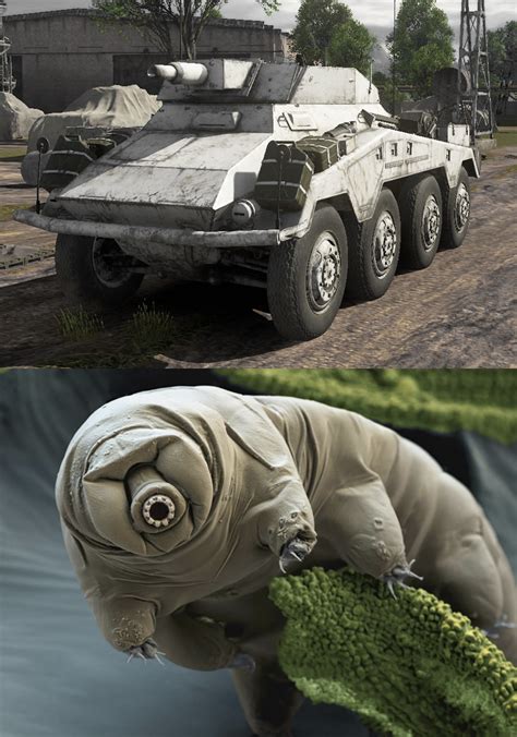 Most frightening animals : r/Warthunder