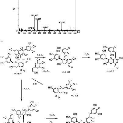 Mechanism of epimerization phenomenon occurring in thearubigin fractions. | Download Scientific ...