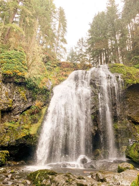 Hiking Little Mashel Falls – Olivia Michelle