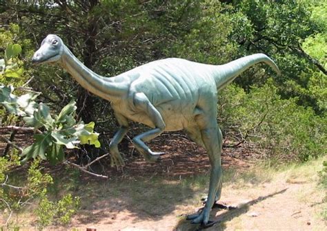 Ornithomimus - Dinosaur Park