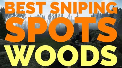 Best Sniping Spots on Woods - Escape From Tarkov Patch 12.4 - YouTube