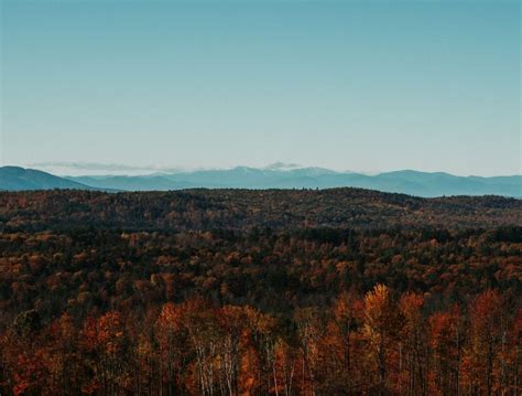 Leaf Peeping In Maine: A Guide To Fall Foliage In Maine - Buddy The Traveling Monkey