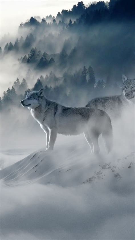 Snow Wolf In 1080x1920 Resolution Wolf Wallpaper, Animal Wallpaper, Wolf Spirit, Spirit Animal ...