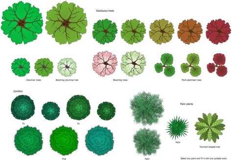 Image result for plan graphic multi stem tree | Free landscape design, Landscape plans ...