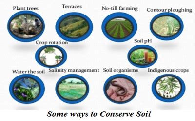 Soil Conservation - QS Study