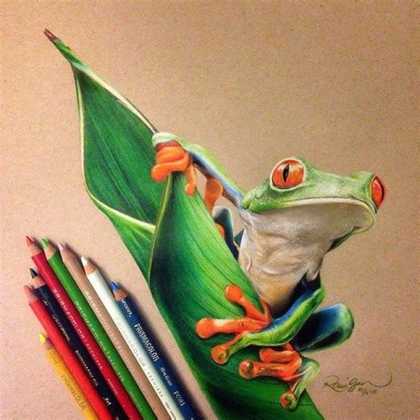 Realistic Color Pencil Animal Drawings | Animal drawings, Prismacolor ...